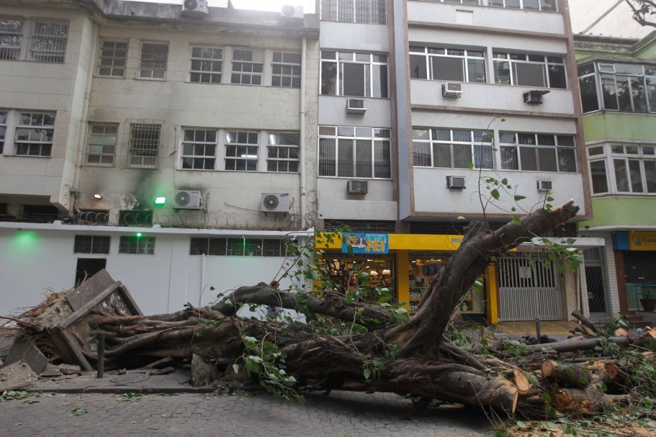 RJ - QUEDA DE ÁRVORE/RIO DE JANEIRO - CIDADES - Registro de queda de árvore na Rua Soares da Costa, devido aos fortes ventos na cidade do Rio de Janeiro, nesta quinta-feira (30).