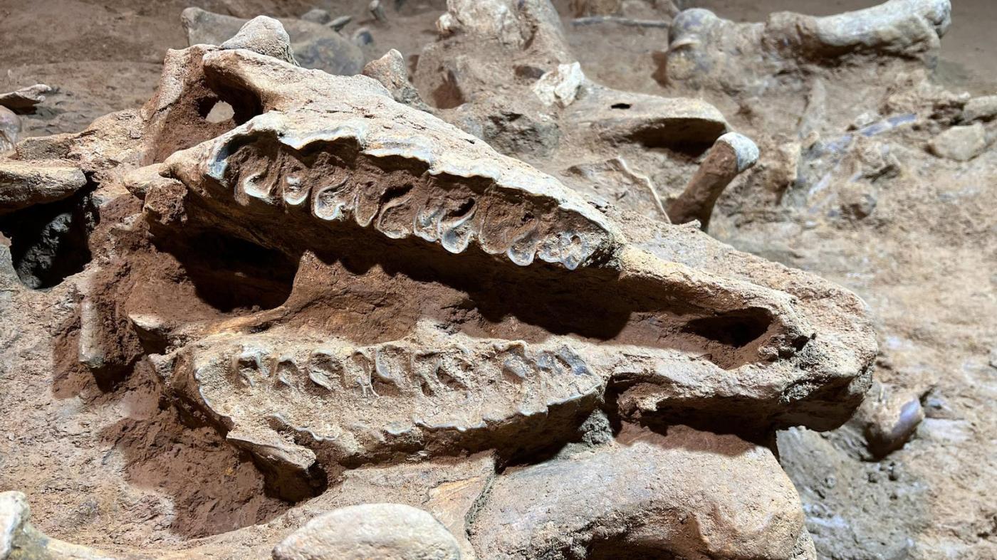 Esqueletos com 200 mil anos de idade são encontrados em caverna em Barcelona