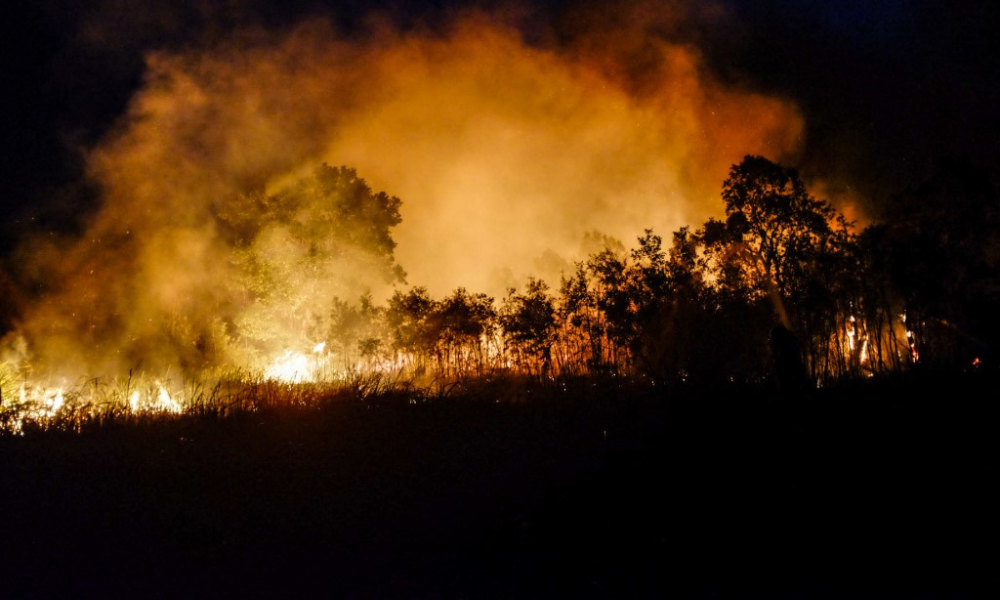 O que esperar do El Niño neste ano, que deve ser o pior de todos os tempos