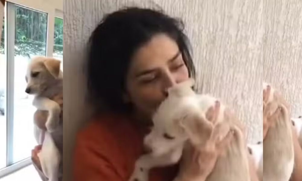 Letícia Sabatella e cachorro