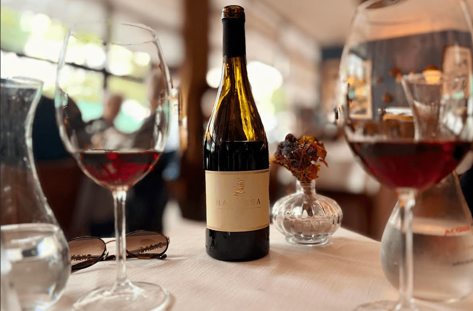 Uvas autóctones: quando o vinho preserva a história de um lugar
