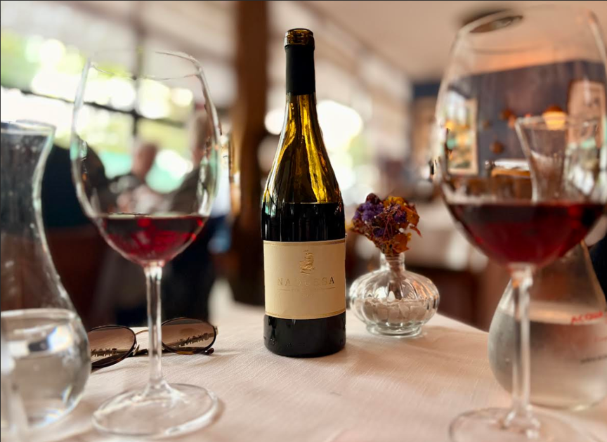 Uvas autóctones: quando o vinho preserva a história de um lugar
