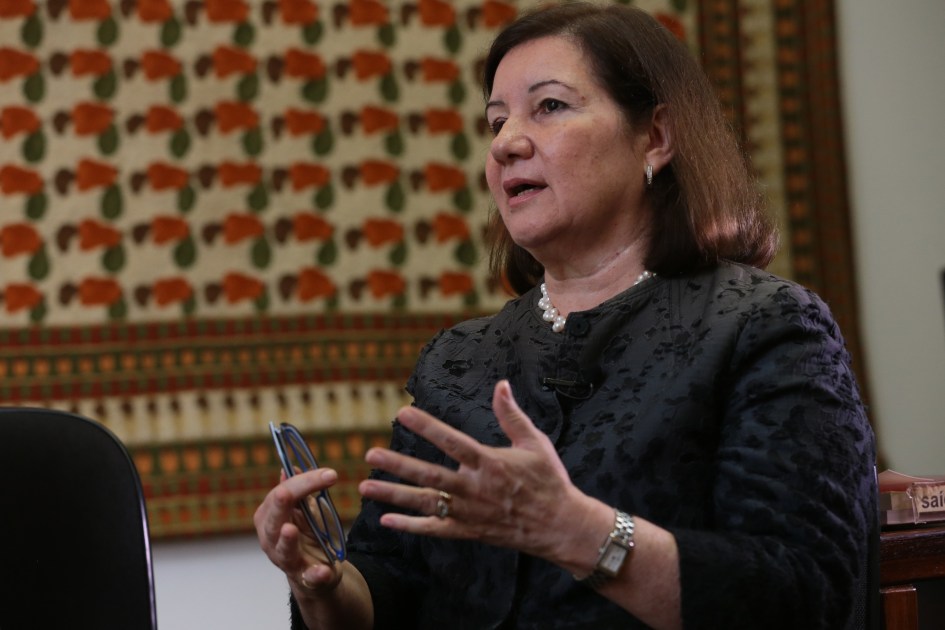 Embaixadora Maria Luiza Ribeiro Viotti