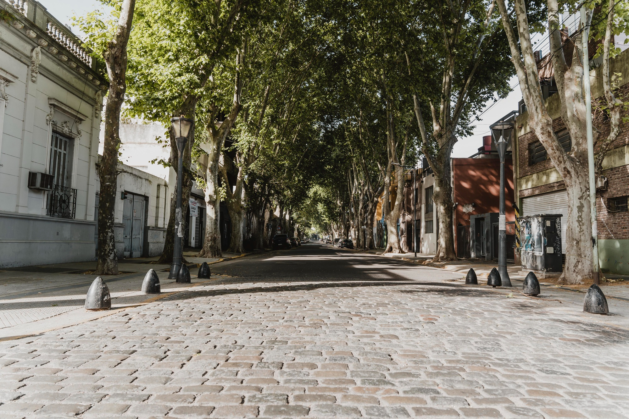 Antes da gentileza urbana, civilidade por favor