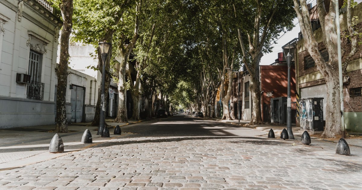 Antes da gentileza urbana, civilidade por favor