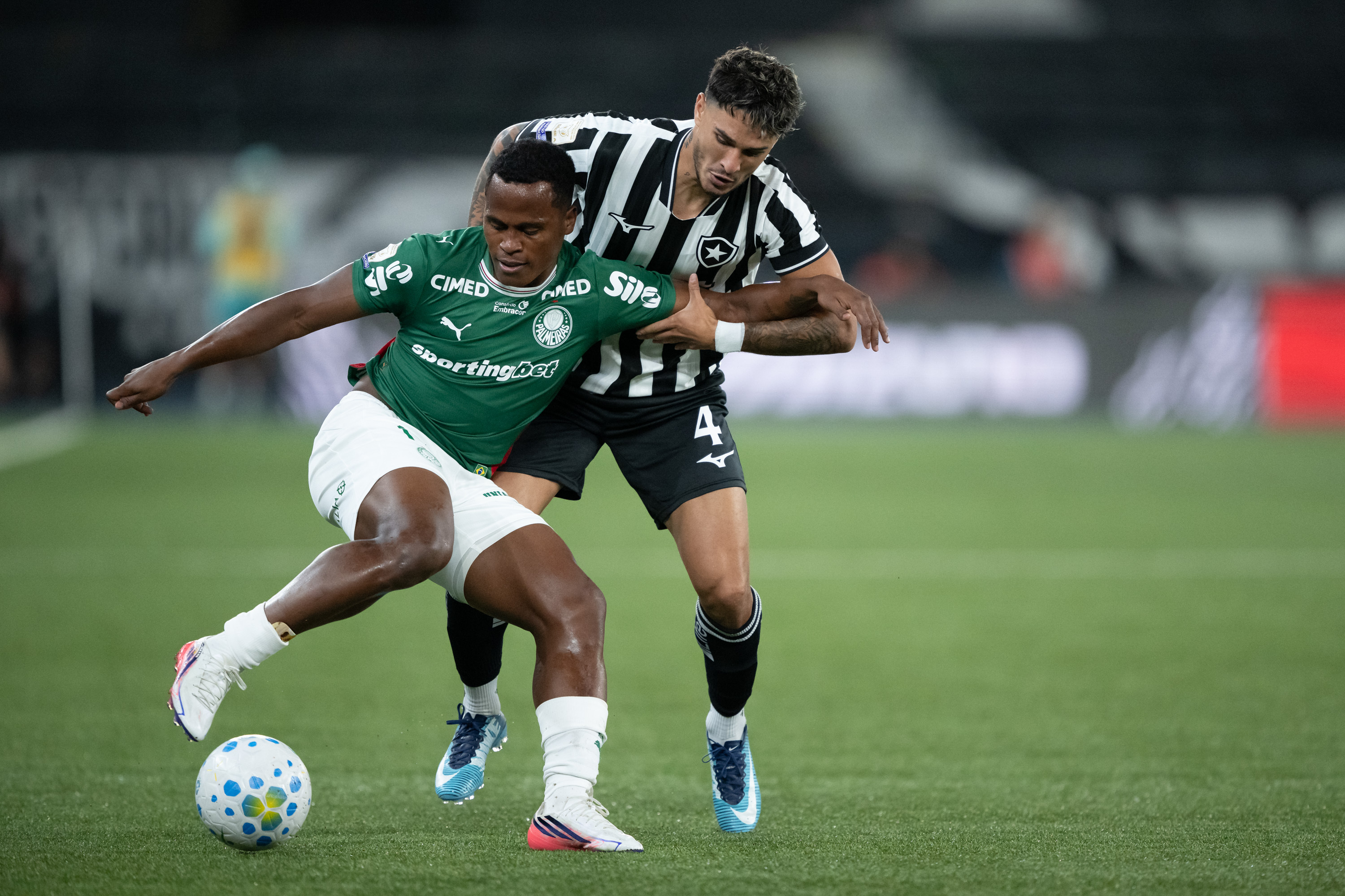 Palmeiras empata com o Botafogo e perde a liderança do Brasileirão