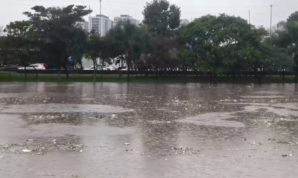 Após fortes chuvas, Rio Tietê sobe e fica perto de transbordar em SP; veja vídeo