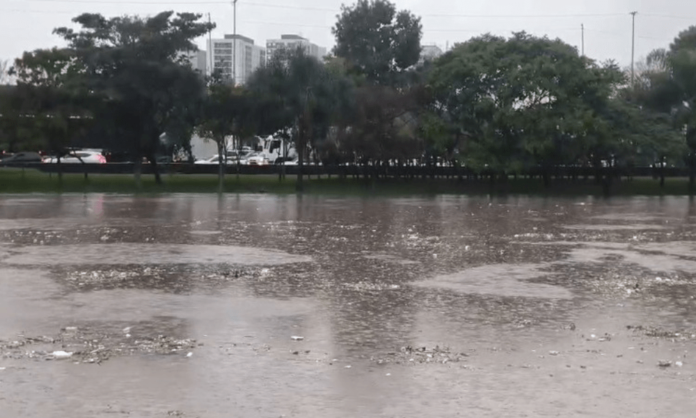 Após fortes chuvas, Rio Tietê sobe e fica perto de transbordar em SP; veja vídeo - Foto