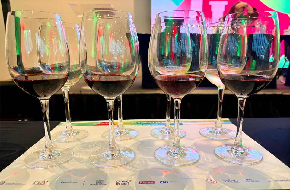 A arte de degustar vinhos