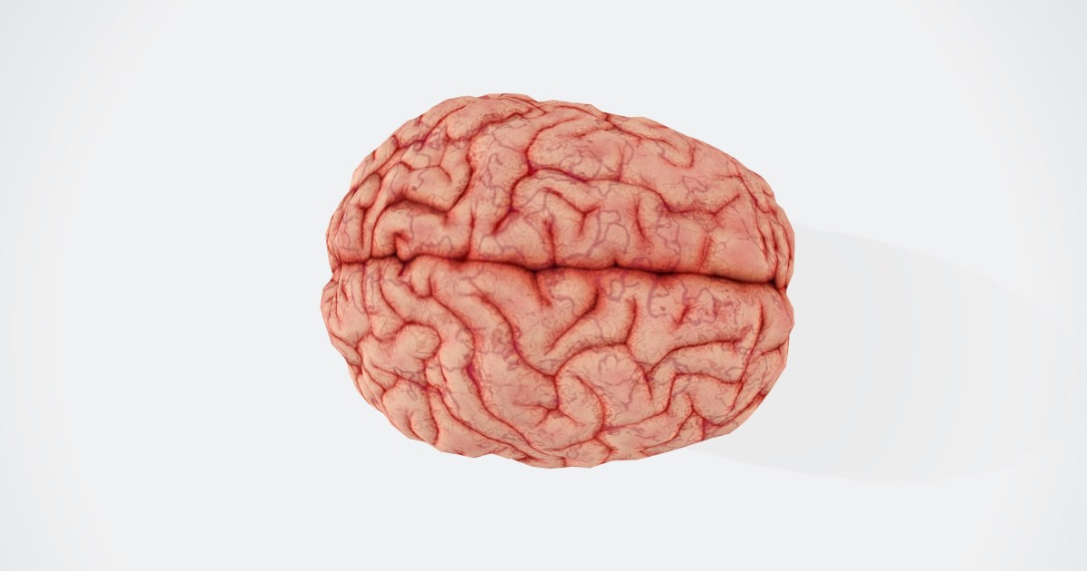 Como nosso cérebro nos engana nas discussões de internet! - Foto