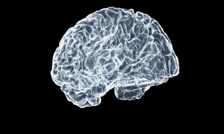 neurociencia