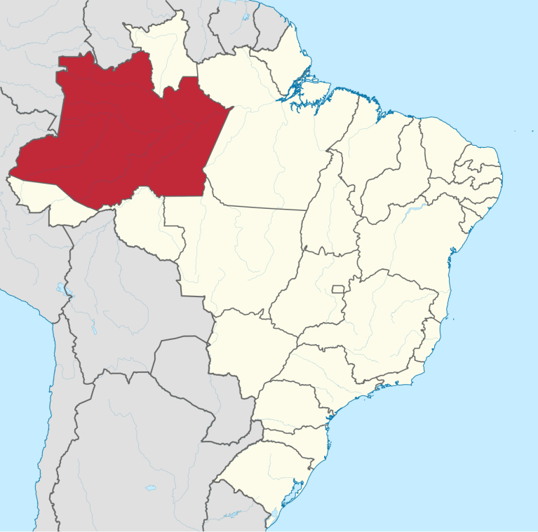 Mapa de Amazonas no Brasil