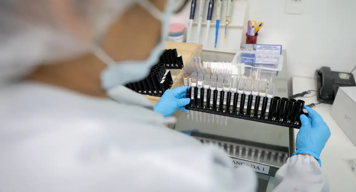 Anvisa autoriza teste em humanos de vacina brasileira contra a malária
