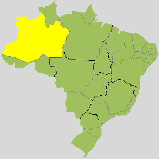 Quem está ganhando para governador no Amazonas? Veja a apuração do 2º turno