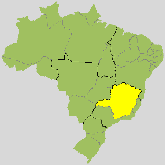 Mapa de Minas Gerais no Brasil