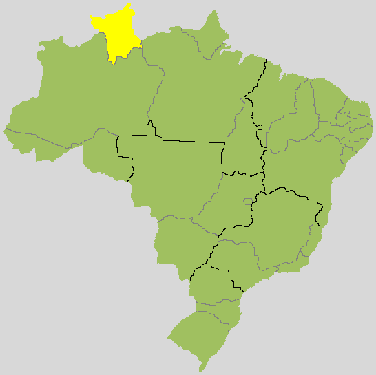 Mapa de Roraima no Brasil