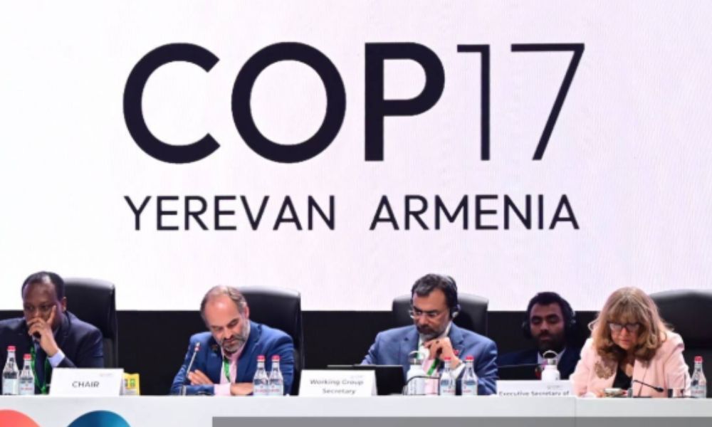 COP17, na Armênia