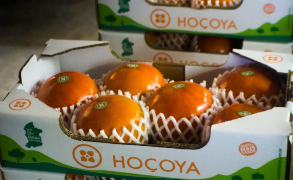 “Meu pai me permitiu errar”: como uma fruticultura de Mogi das Cruzes preparou a terceira geração