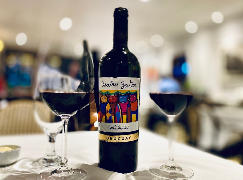 Muito além do Tannat: descubra os vinhos de boutique que revelam um outro Uruguai