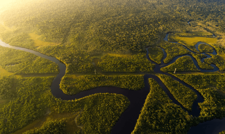 Amazônia