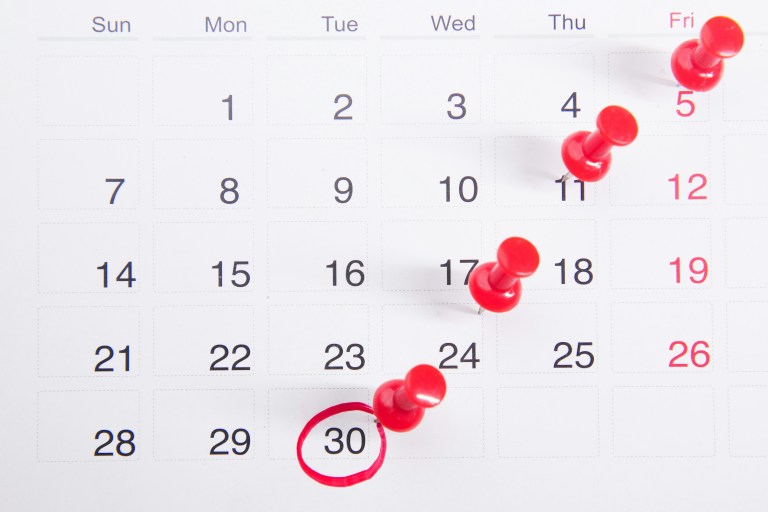 Calendário